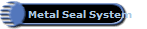 Metal Seal System